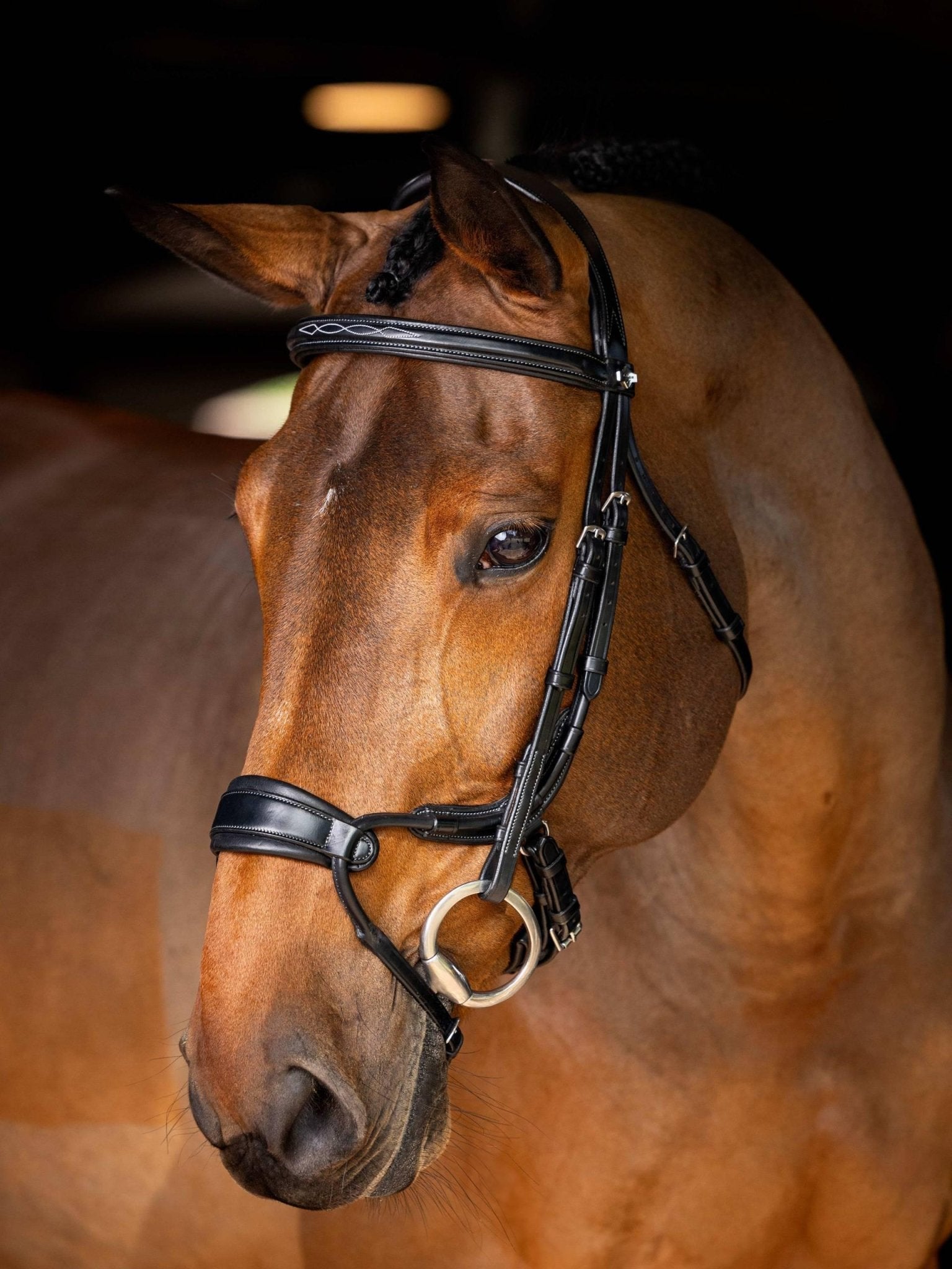 Lemieux Kudos Clear Arc Bridle - Nags Essentials