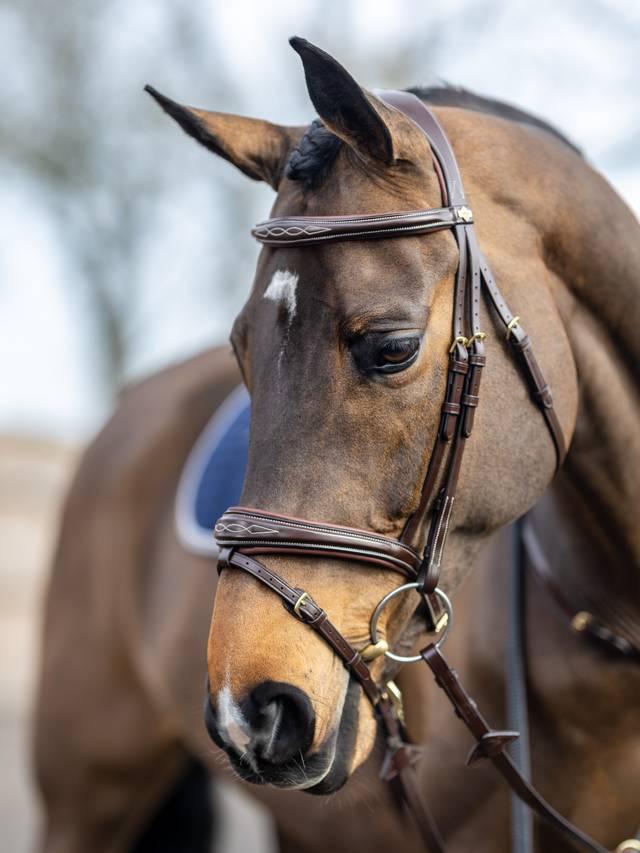 Lemieux Kudos Competition Flash Bridle - Nags Essentials