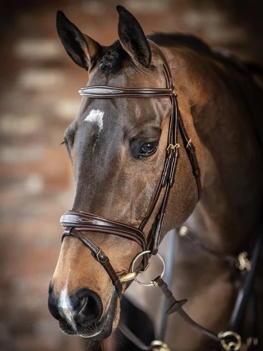 LeMieux Kudos Competition Flash Bridle - Nags Essentials