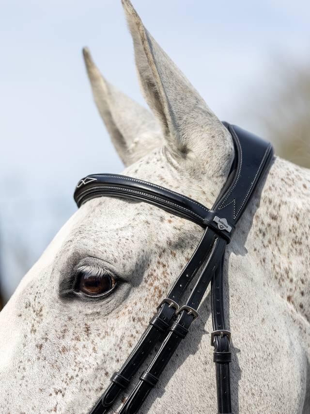 Lemieux Kudos Competition Flash Bridle - Nags Essentials