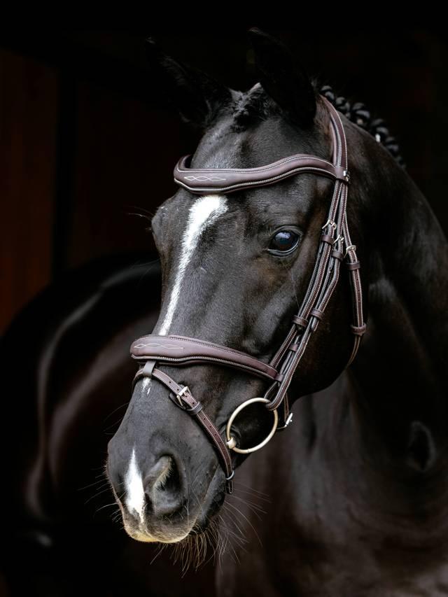 Lemieux Kudos Contour Flash Bridle - Nags Essentials