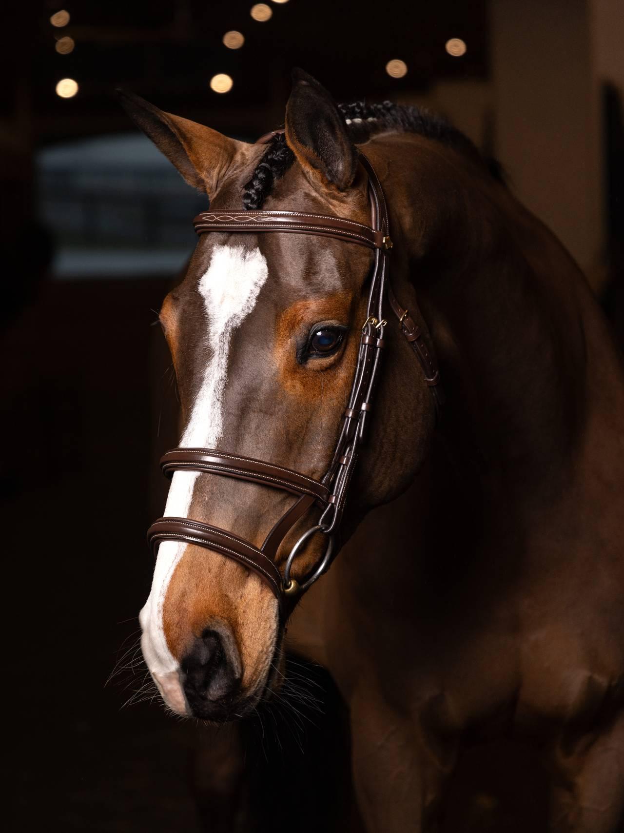 Lemieux Kudos Double Noseband Bridle - Nags Essentials