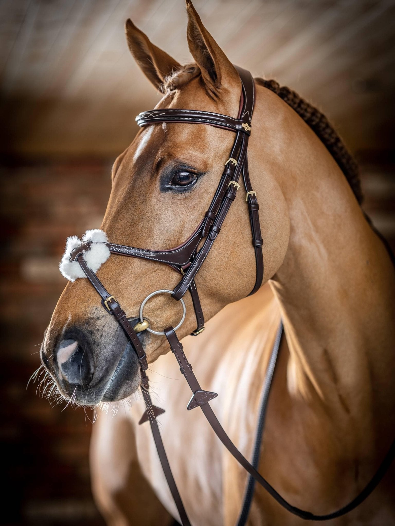 Lemieux Kudos Grackle Bridle - Nags Essentials