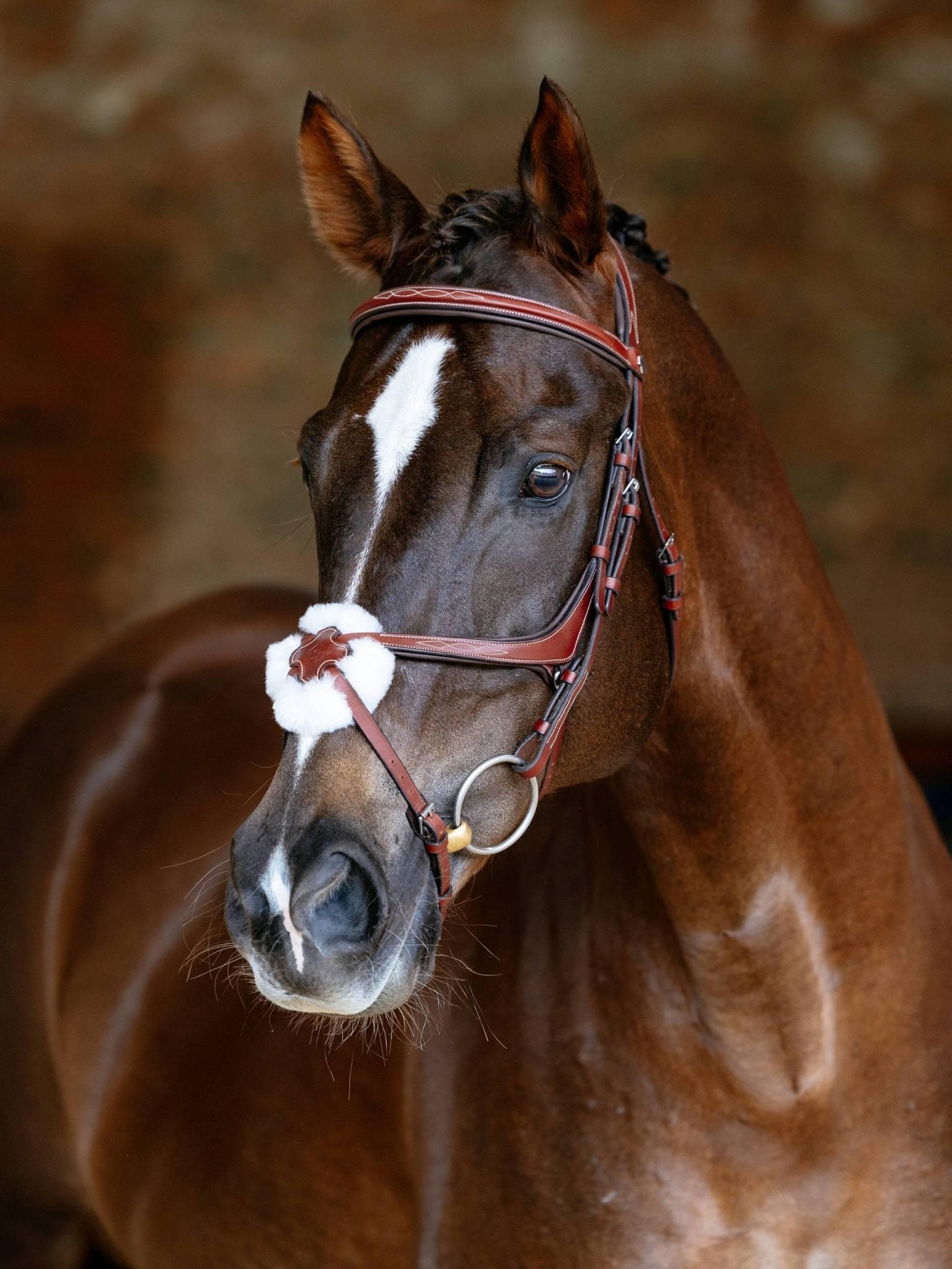 Lemieux Kudos Grackle Bridle - Nags Essentials