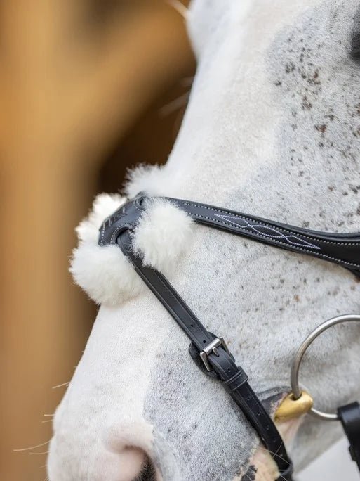 LeMieux Kudos Grackle Bridle - Nags Essentials