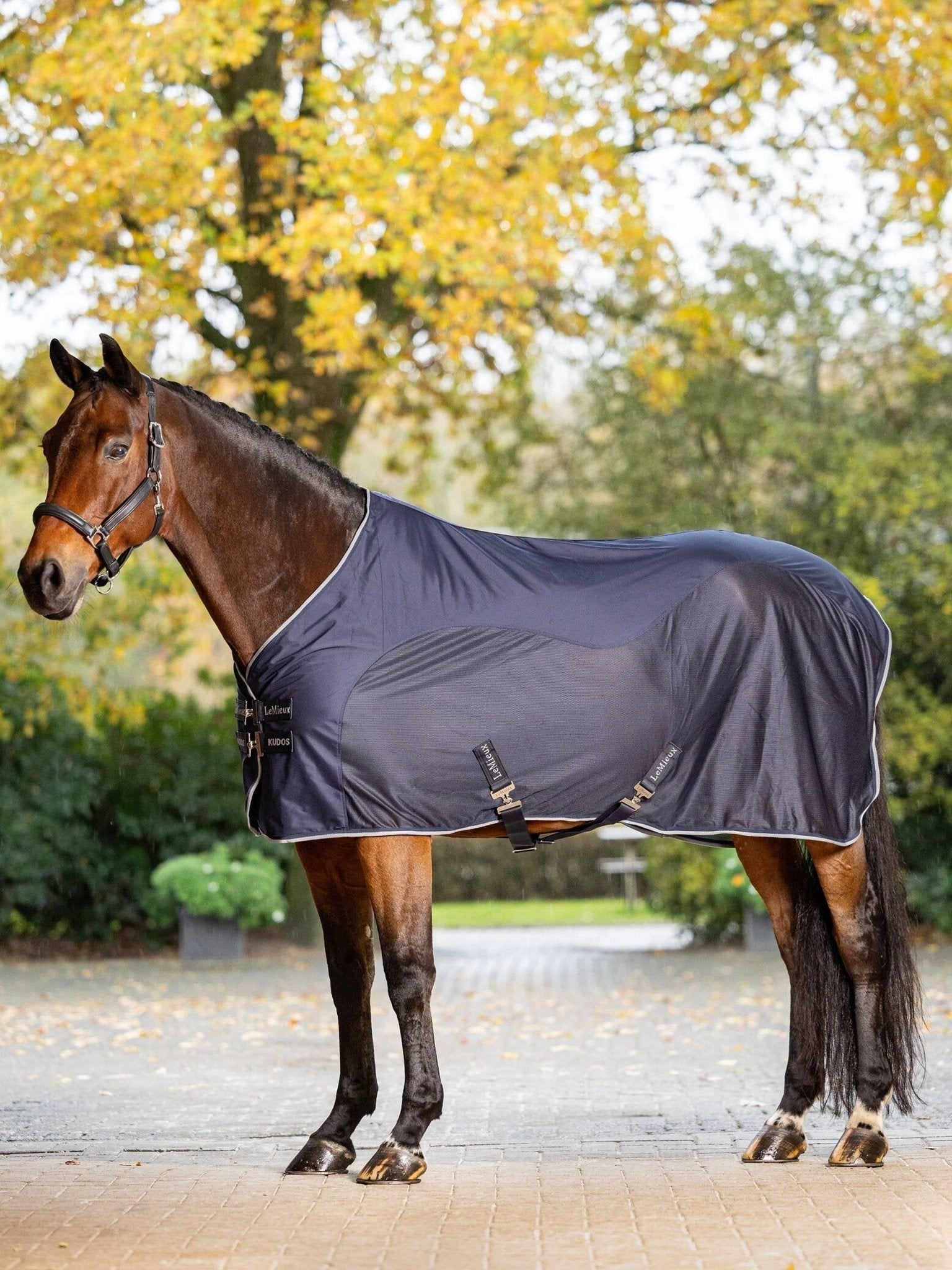 LeMieux Kudos Hybrid Cooler - Nags Essentials