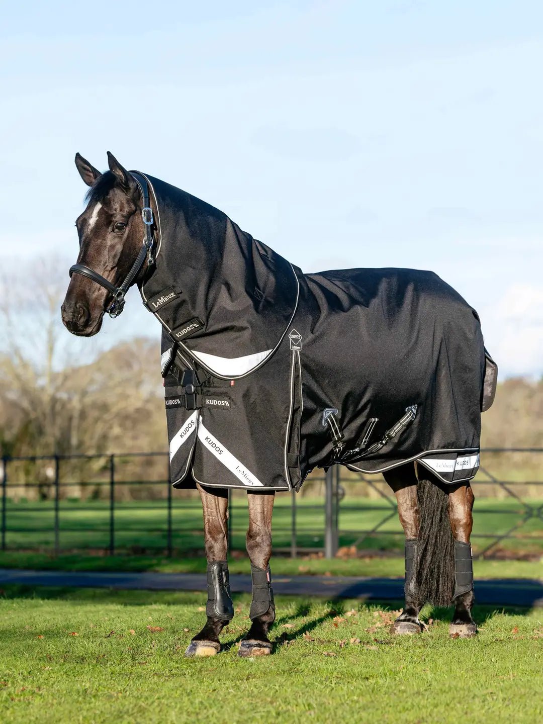 LeMieux Kudos Neo-Turnout Rug 100g - Black - Nags Essentials