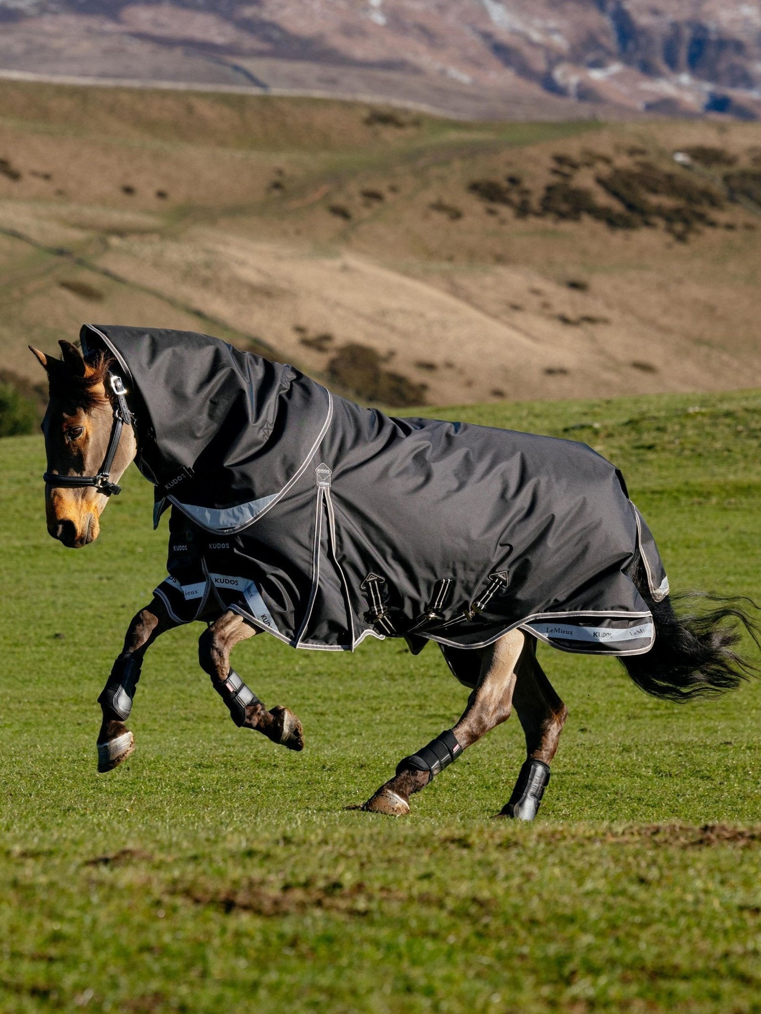 LeMieux Kudos Neo-Turnout Rug 100g - Black - Nags Essentials
