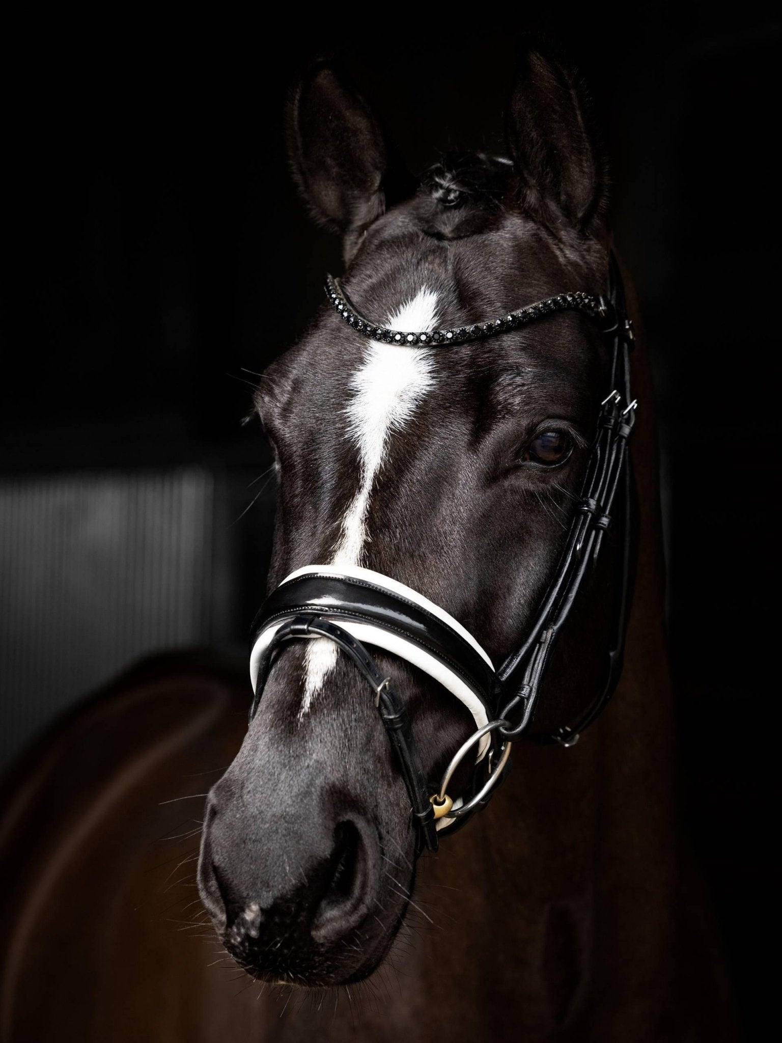 Lemieux Kudos Patent Rolled Dressage Bridle - Nags Essentials