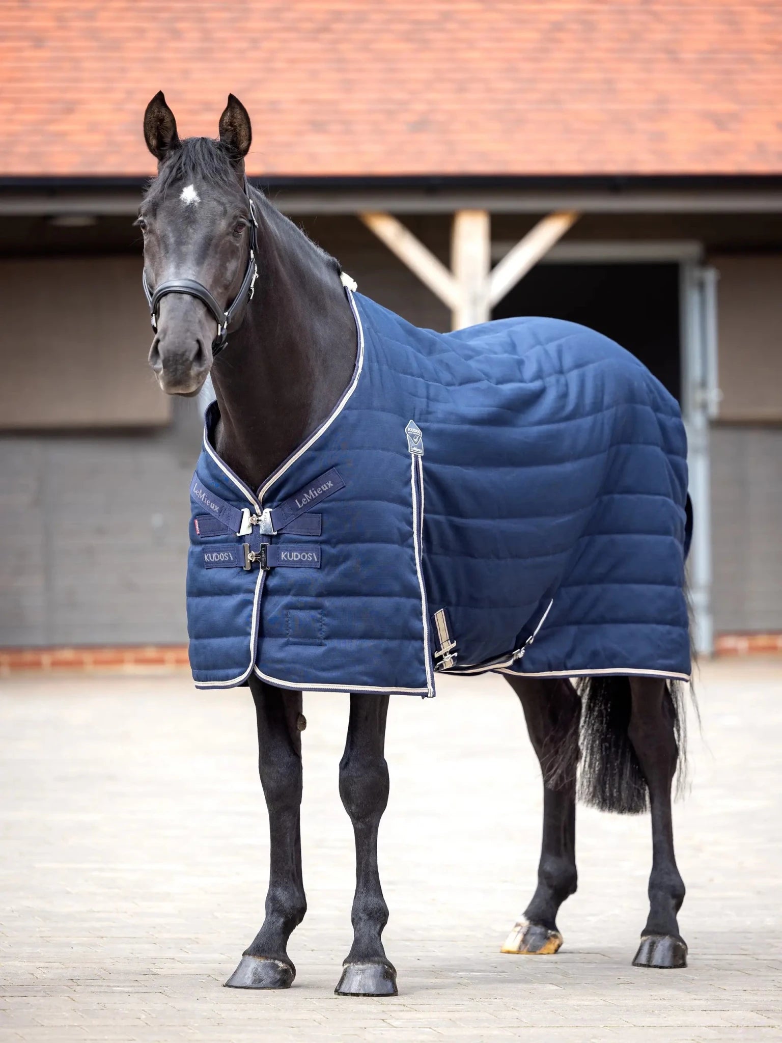 LeMieux Kudos Stable Rug 200g - Navy - Nags Essentials