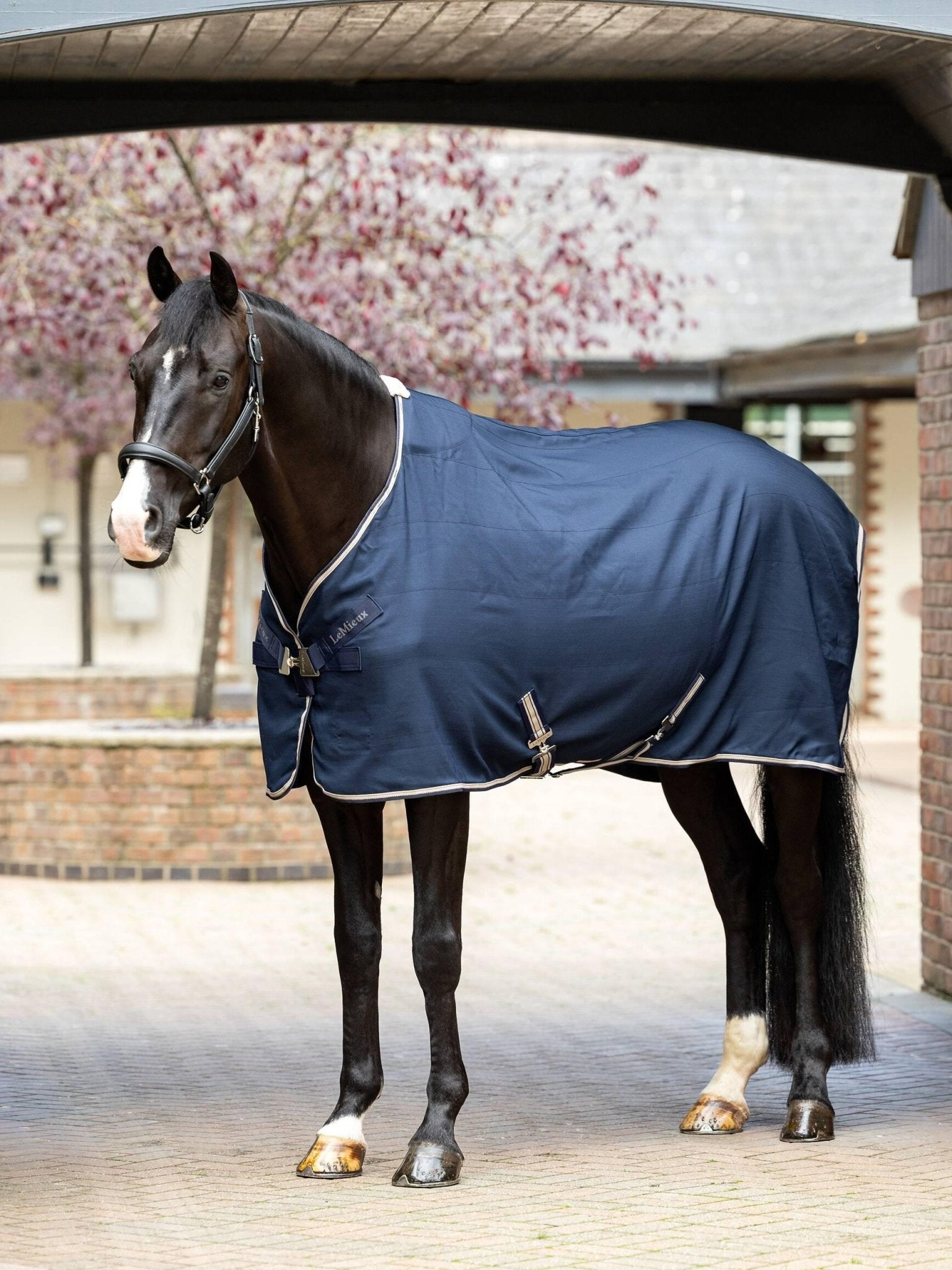 LeMieux Kudos Stable Sheet Navy - Nags Essentials