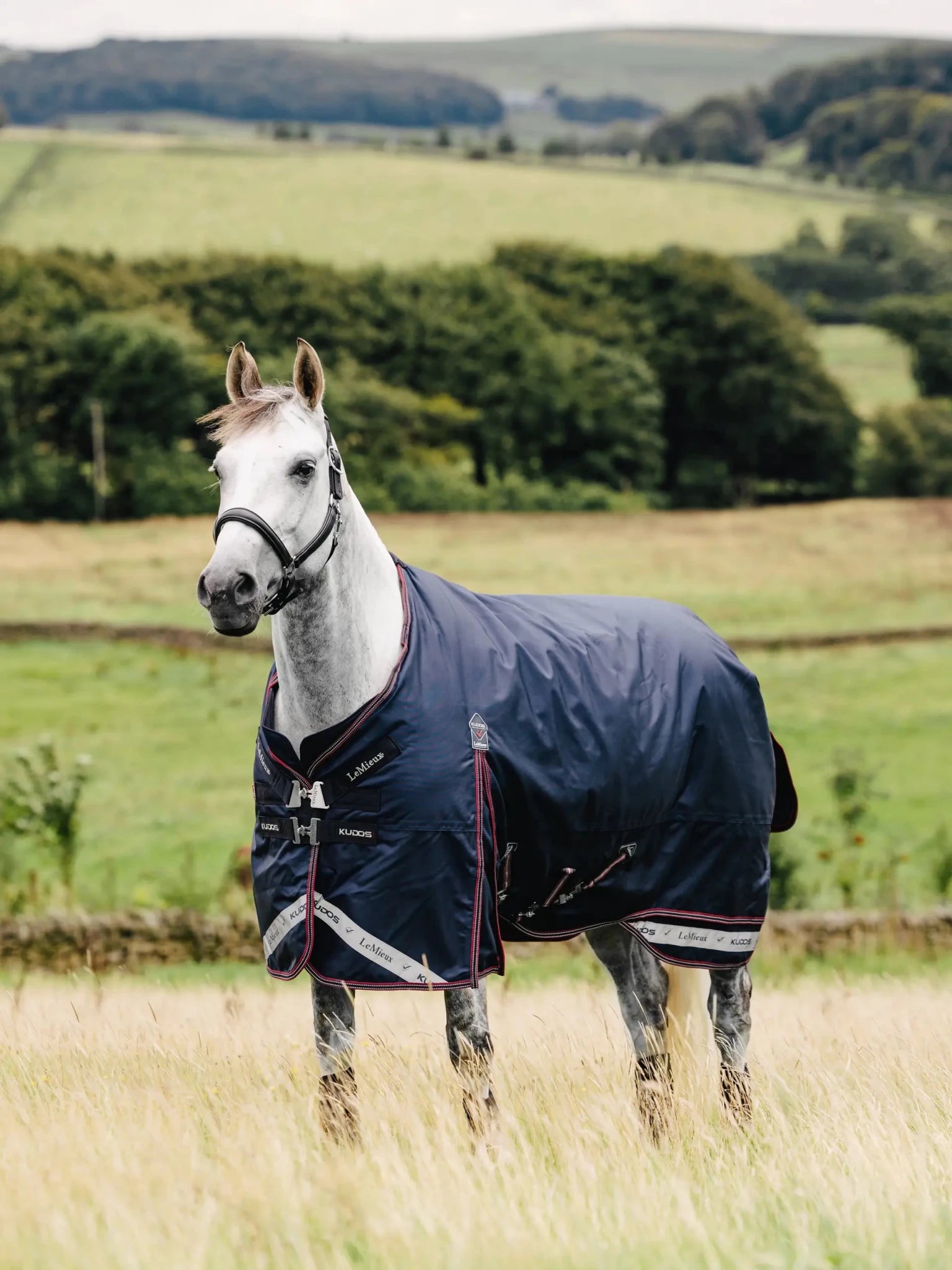 LeMieux Kudos Turnout Rug 50g. - Navy - Nags Essentials