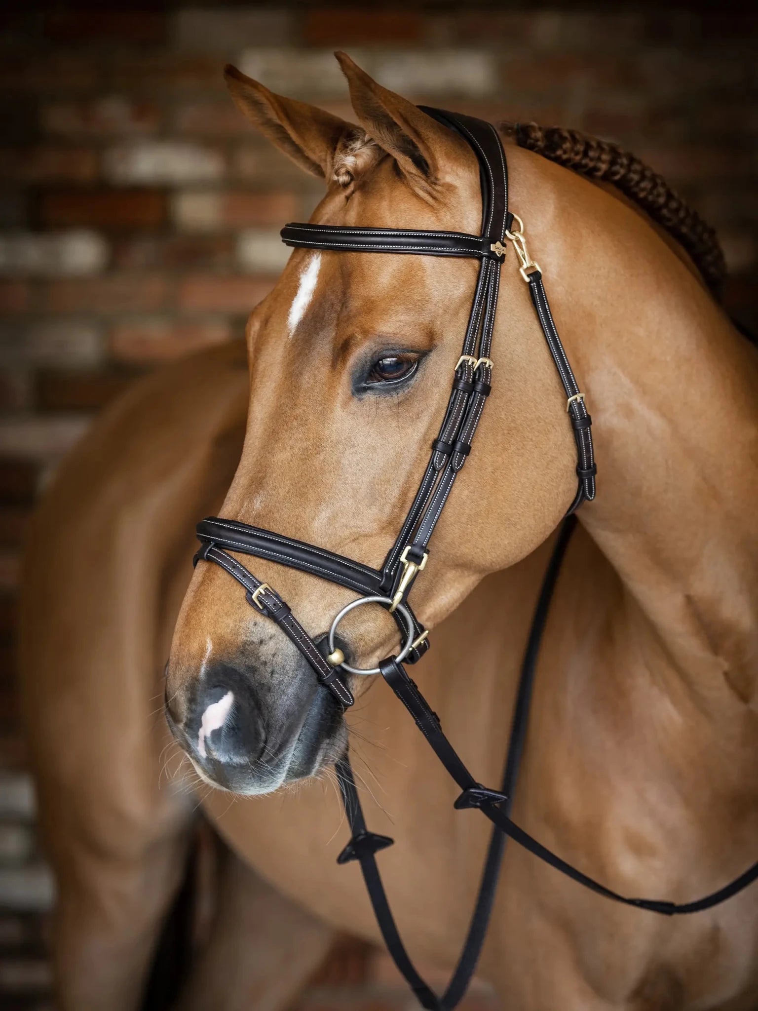 Lemieux Kudos Work Bridle - Nags Essentials