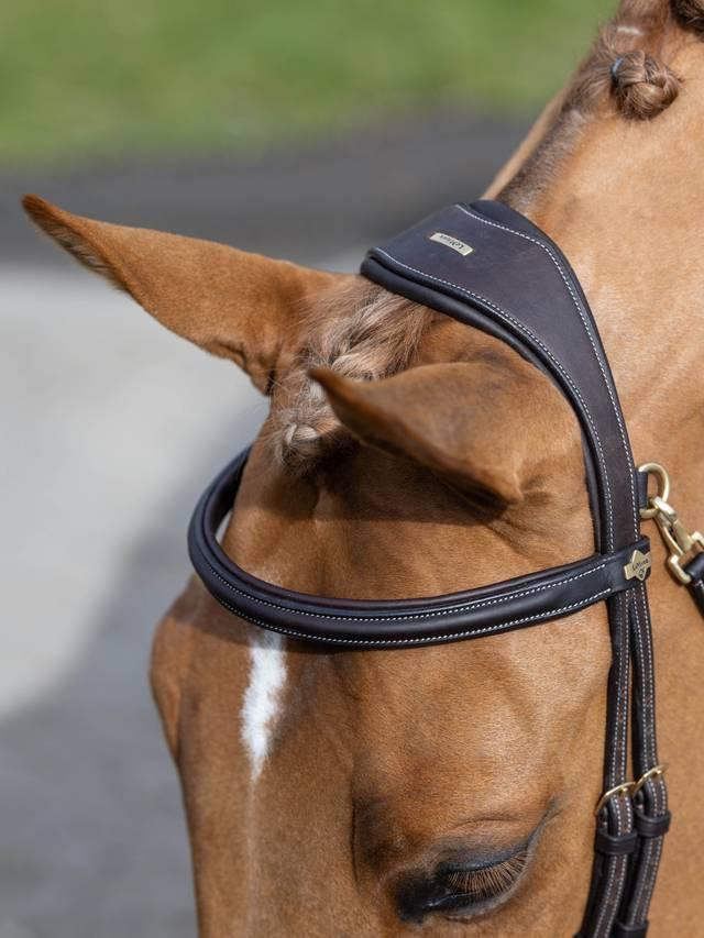 Lemieux Kudos Work Bridle - Nags Essentials