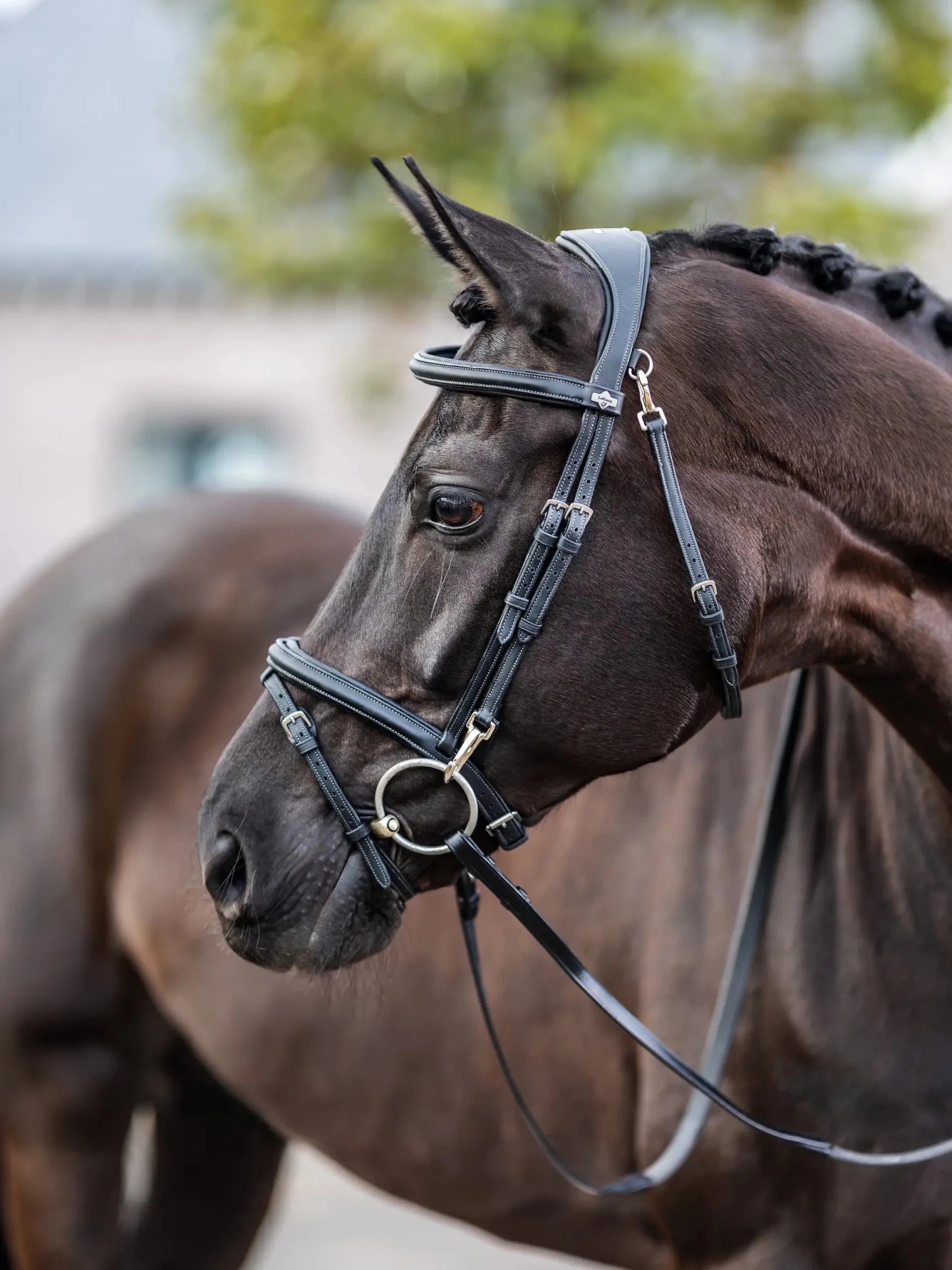 Lemieux Kudos Work Bridle - Nags Essentials