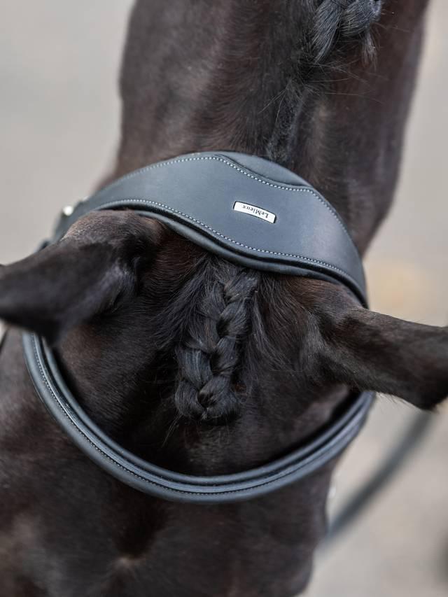 Lemieux Kudos Work Bridle - Nags Essentials