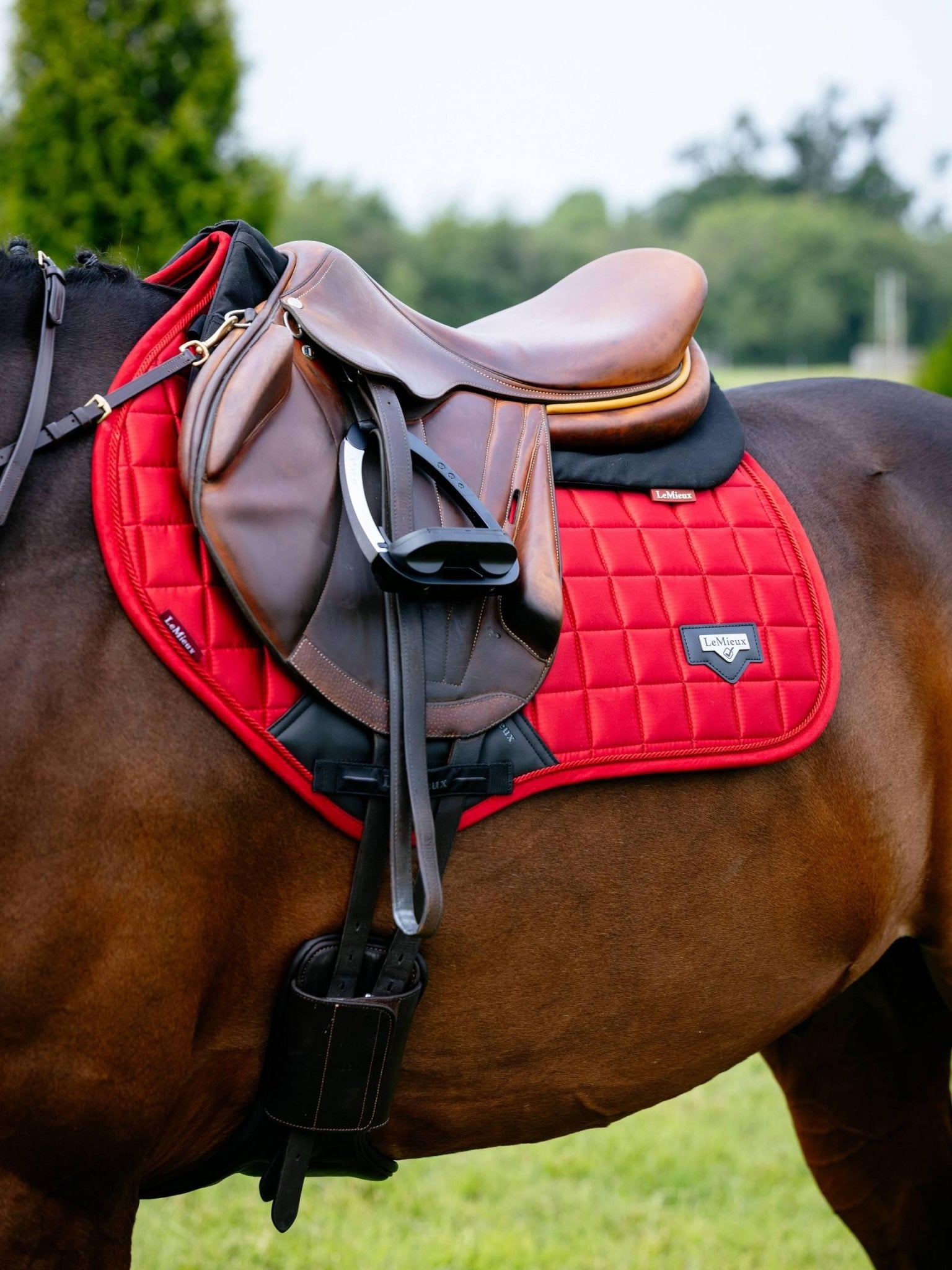 LeMieux Loire Close Contact Square - Nags Essentials