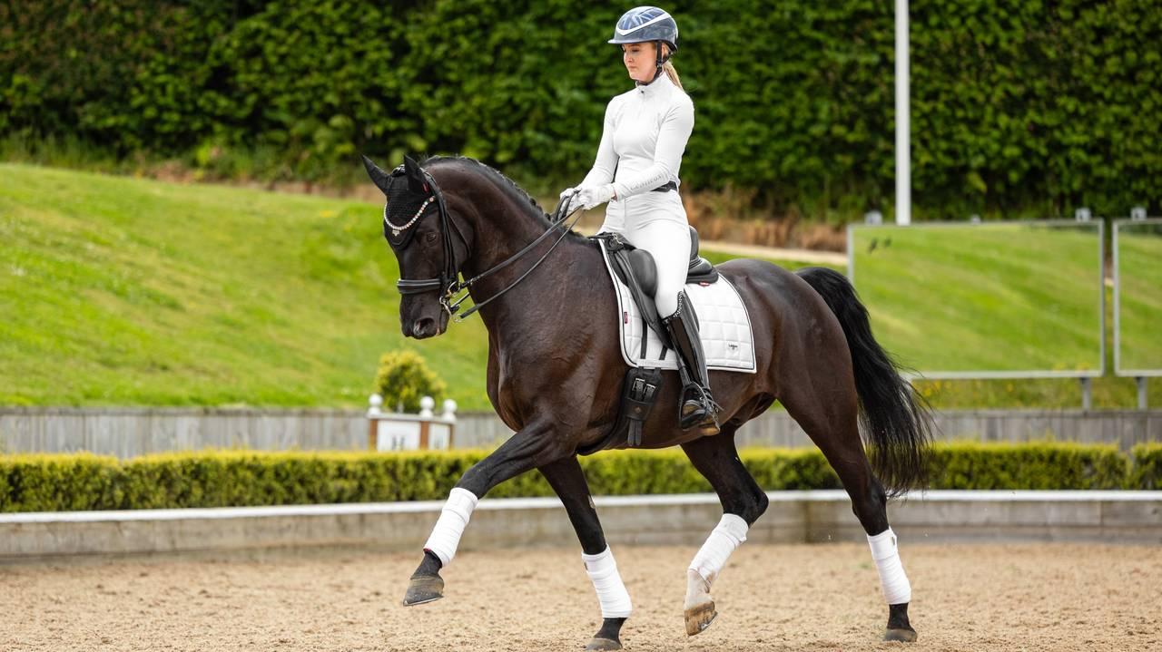 LeMieux Loire Dressage Square - Nags Essentials