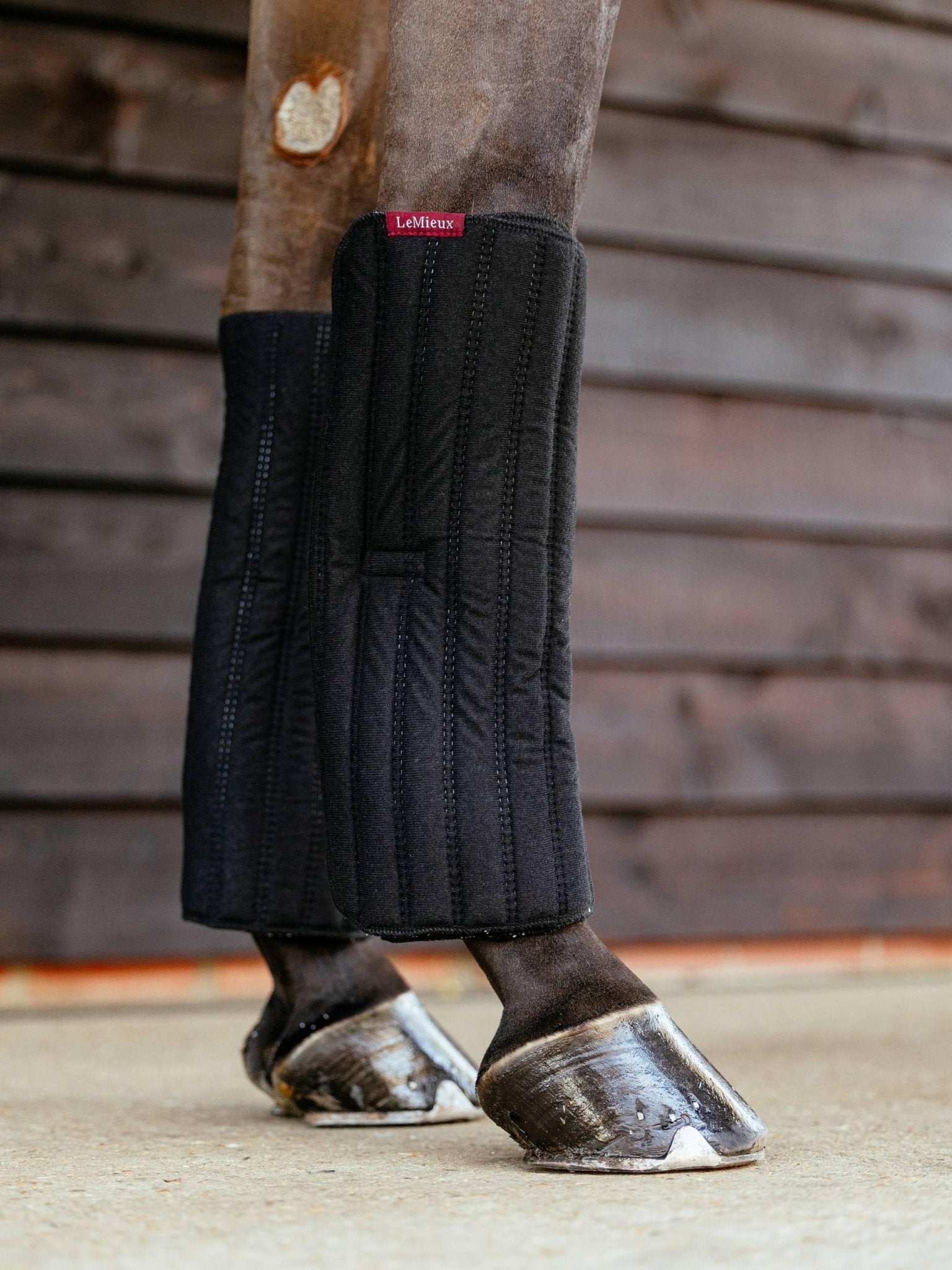 LeMieux Memory Foam Bandage Pads - Nags Essentials