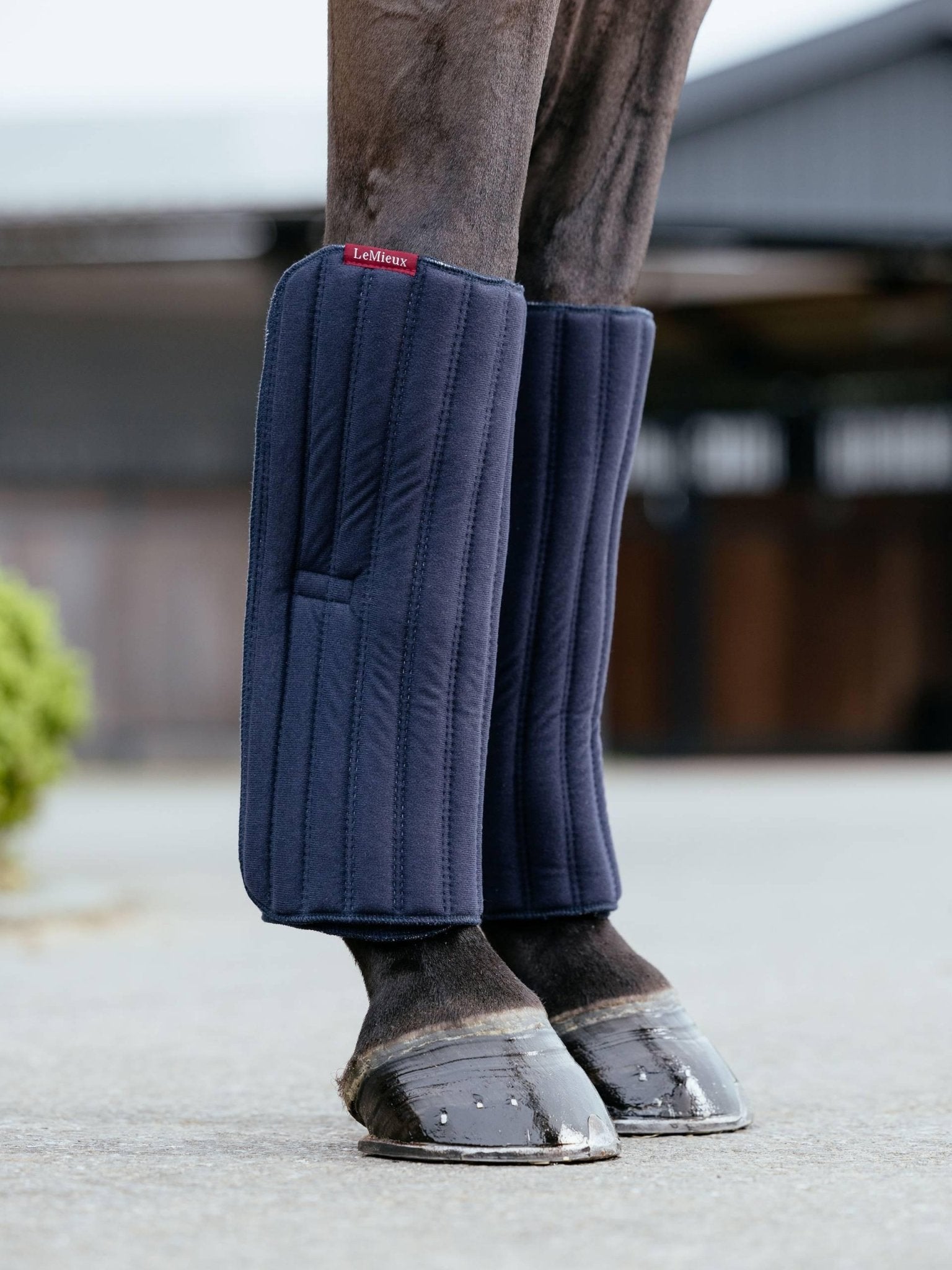 LeMieux Memory Foam Bandage Pads - Nags Essentials