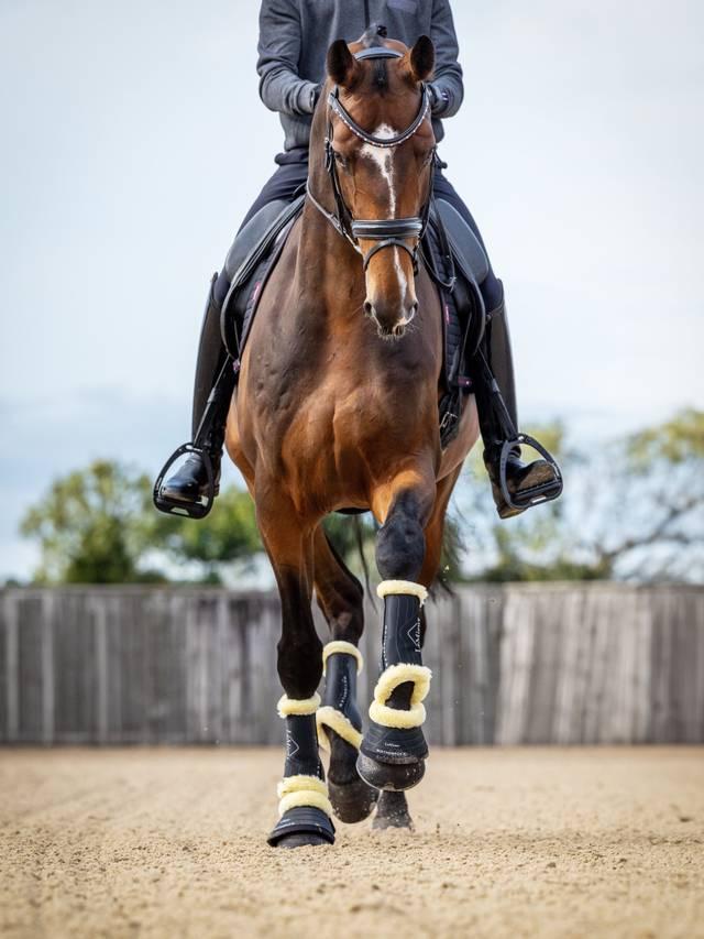 LeMieux Motionflex Dressage Boot with Fleece Edge - Nags Essentials