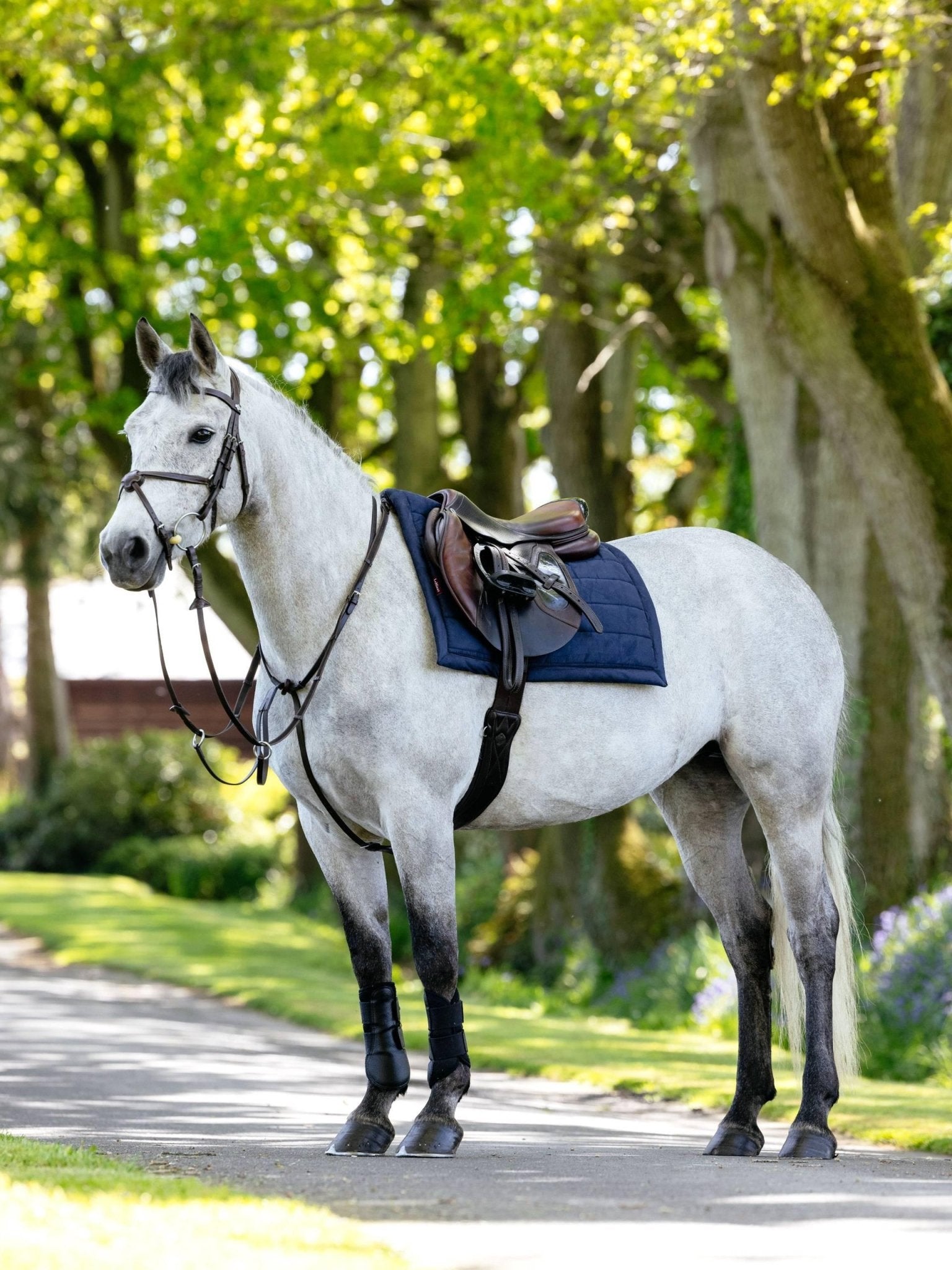 LeMieux Pillow Pad - Nags Essentials