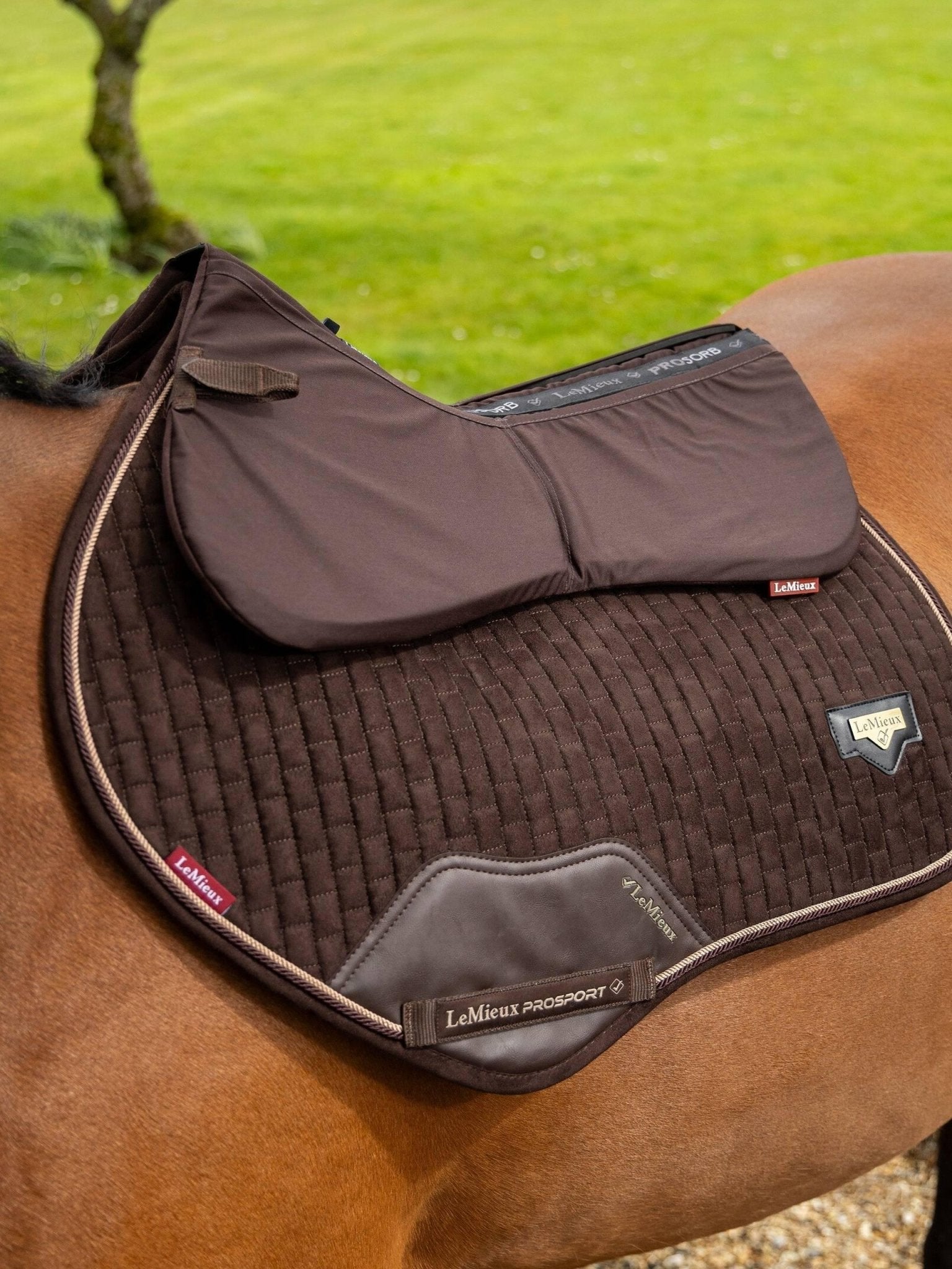 LeMieux ProSorb Plain 2 Pocket Half Pad - Nags Essentials