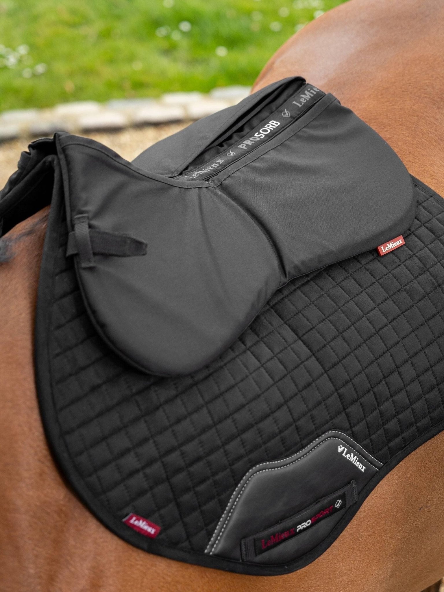 LeMieux ProSorb Plain 2 Pocket Half Pad - Nags Essentials