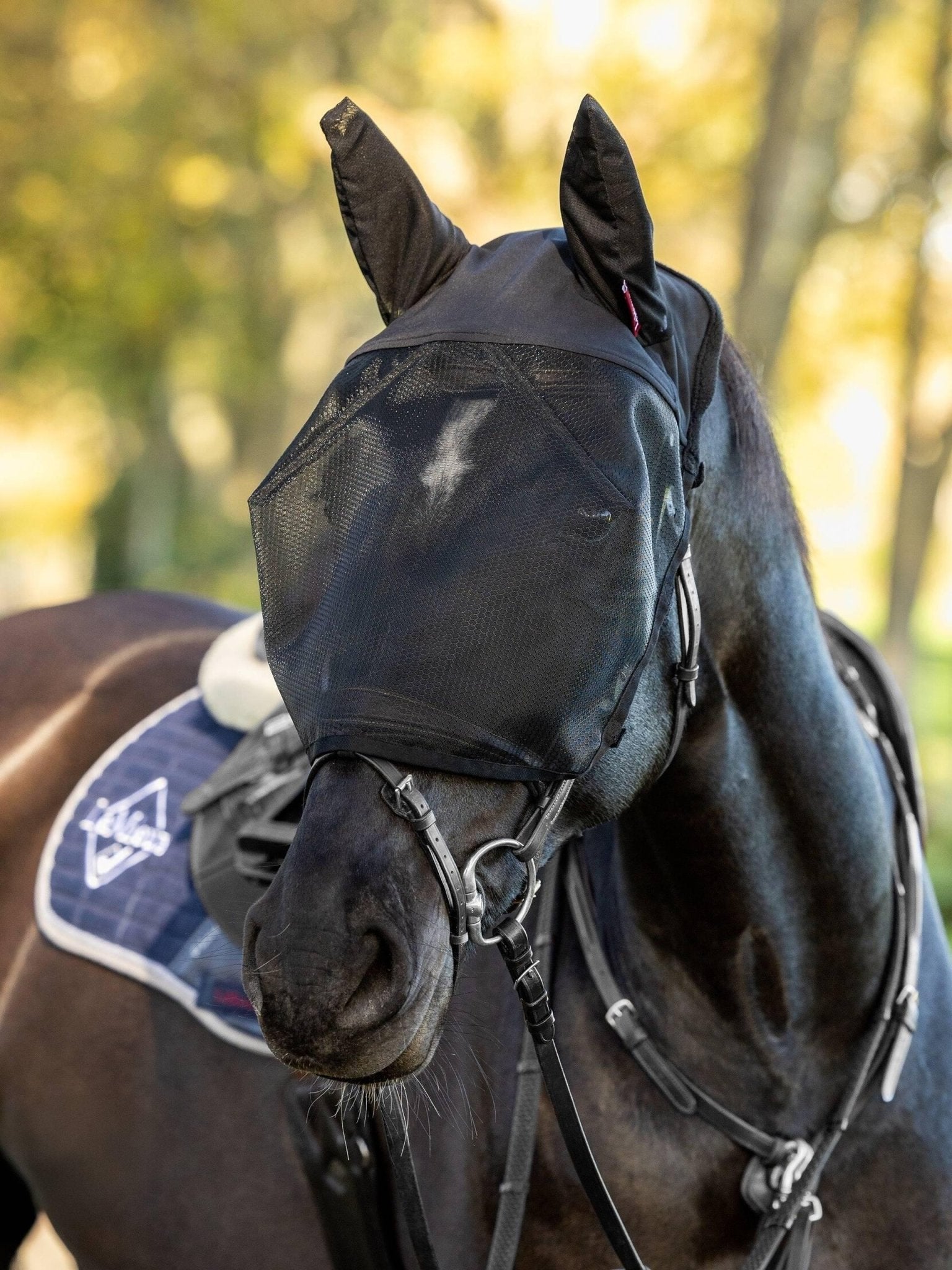 LeMieux Ride On Fly Mask - Black - Nags Essentials