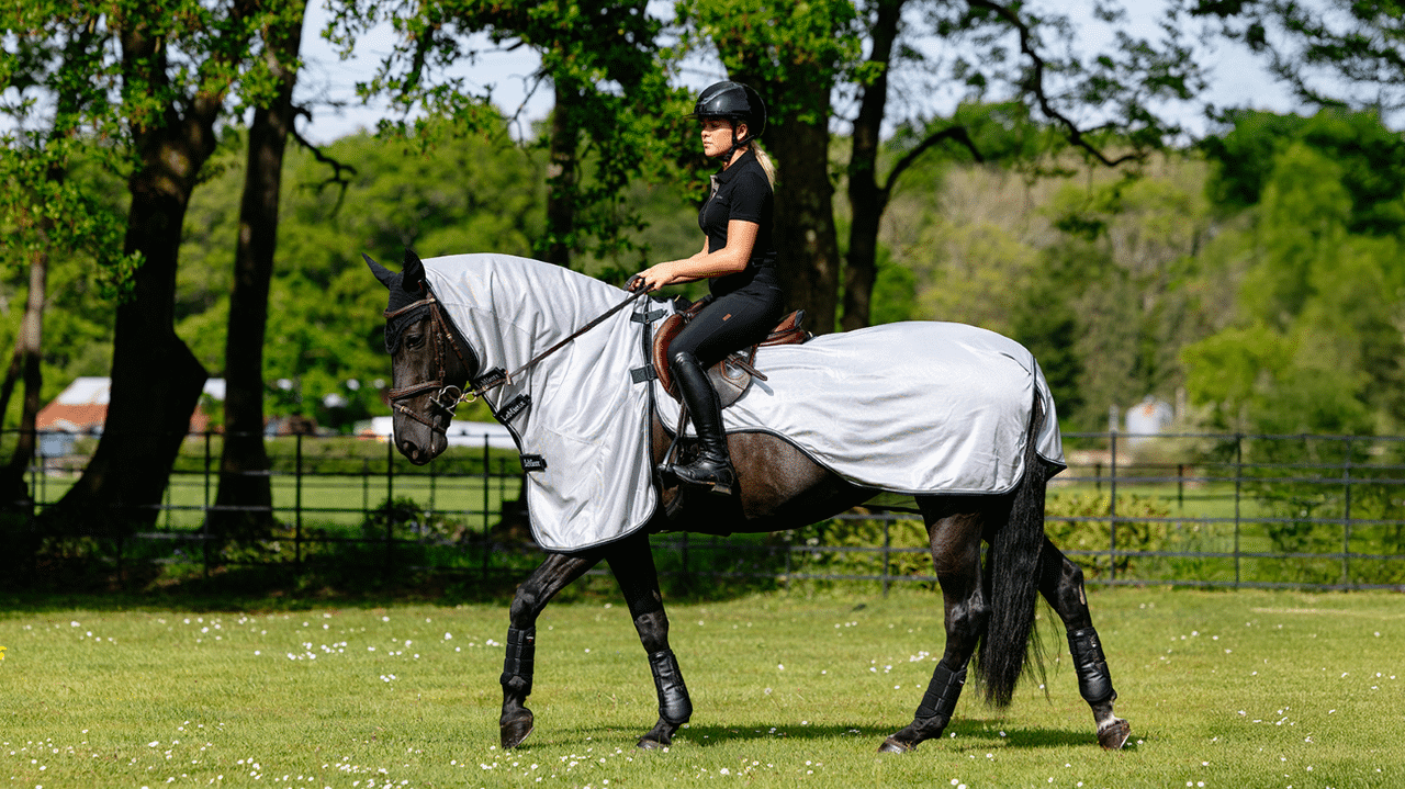 LeMieux Ride On Fly Rug - Nags Essentials