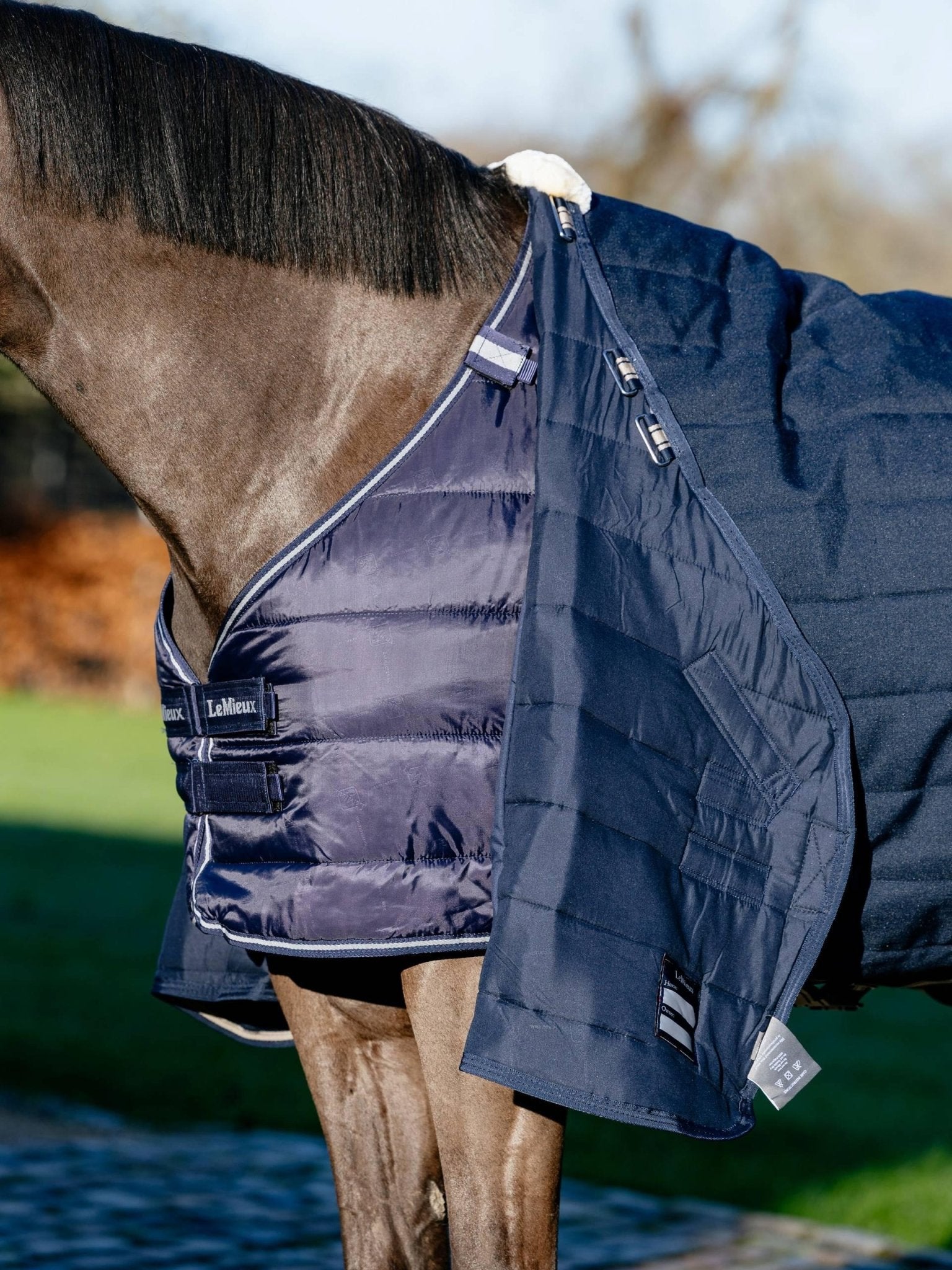 Lemieux Rug Liner 50g - Navy - Nags Essentials