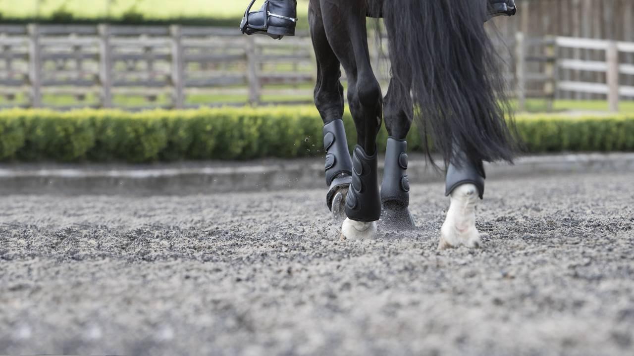 LeMieux Schooling Boots - Nags Essentials