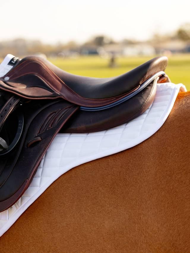 Lemieux Self - Cool Close Contact Half Square - Nags Essentials