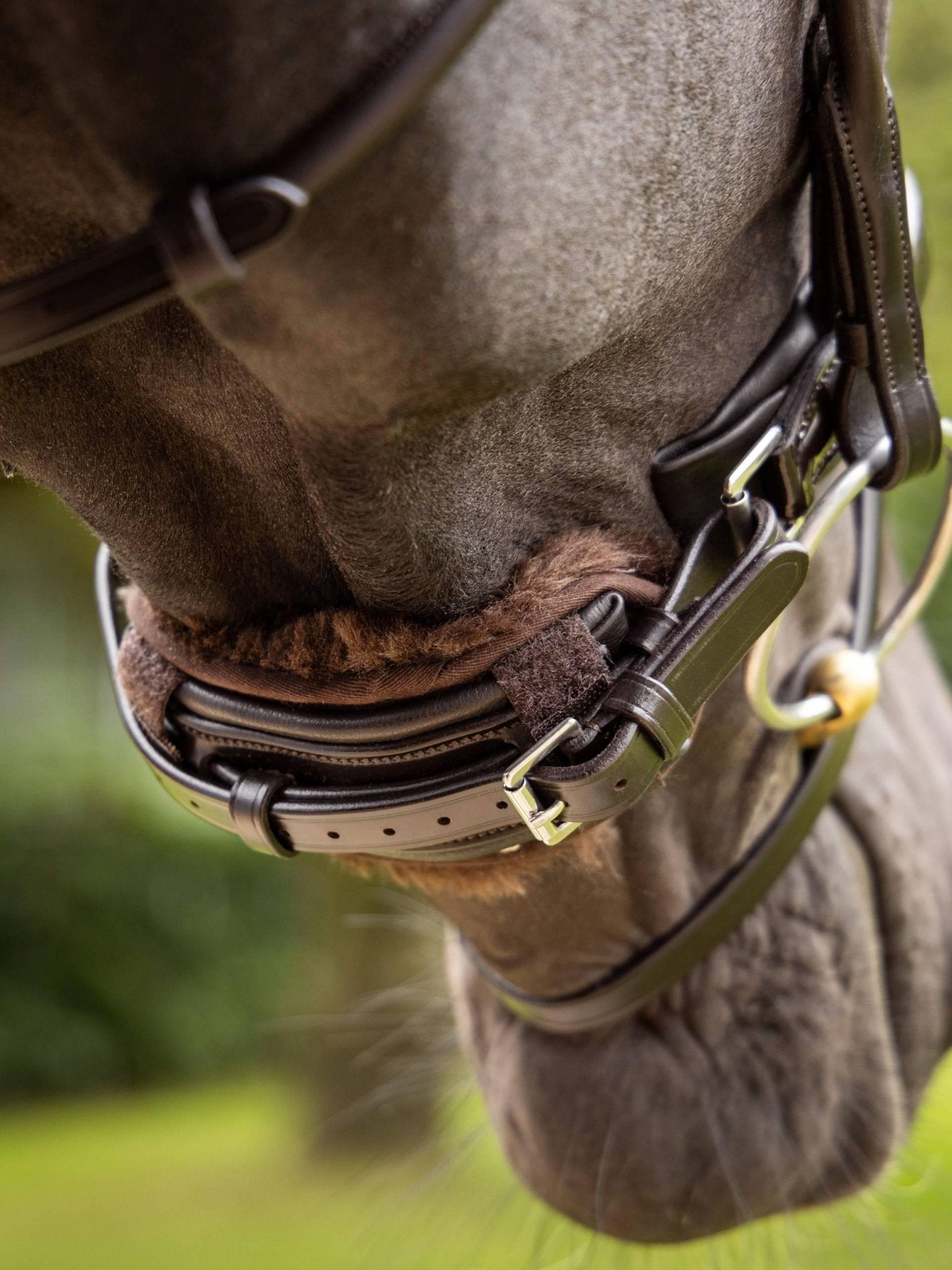Lemieux Simuwool Chin/Noseband Guard - Nags Essentials