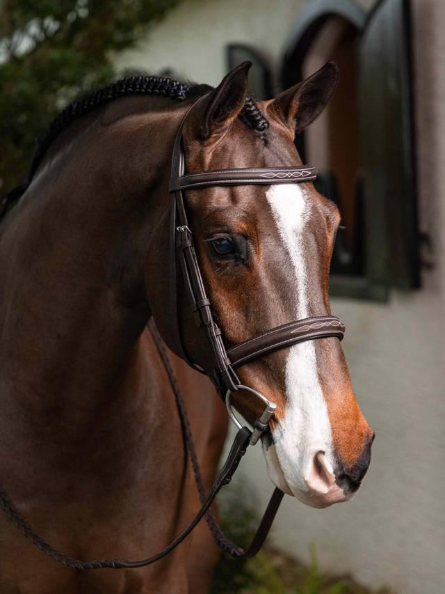 LeMieux Stitched Hunter Bridle with Laced Reins - Nags Essentials