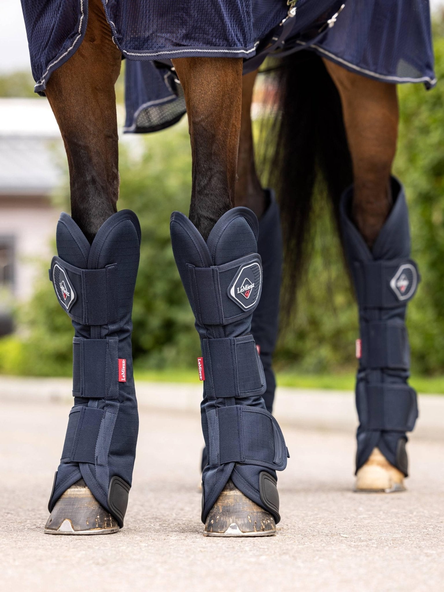 LeMieux Travel Boots - Nags Essentials
