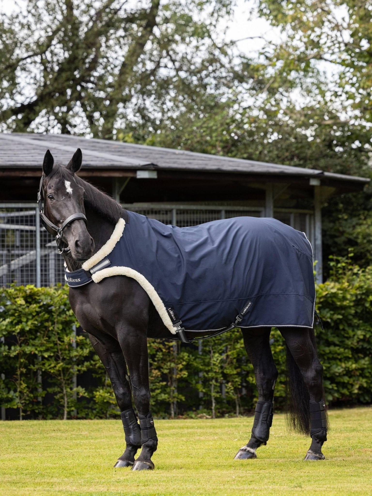 LeMieux Walker Rug - Navy - Nags Essentials