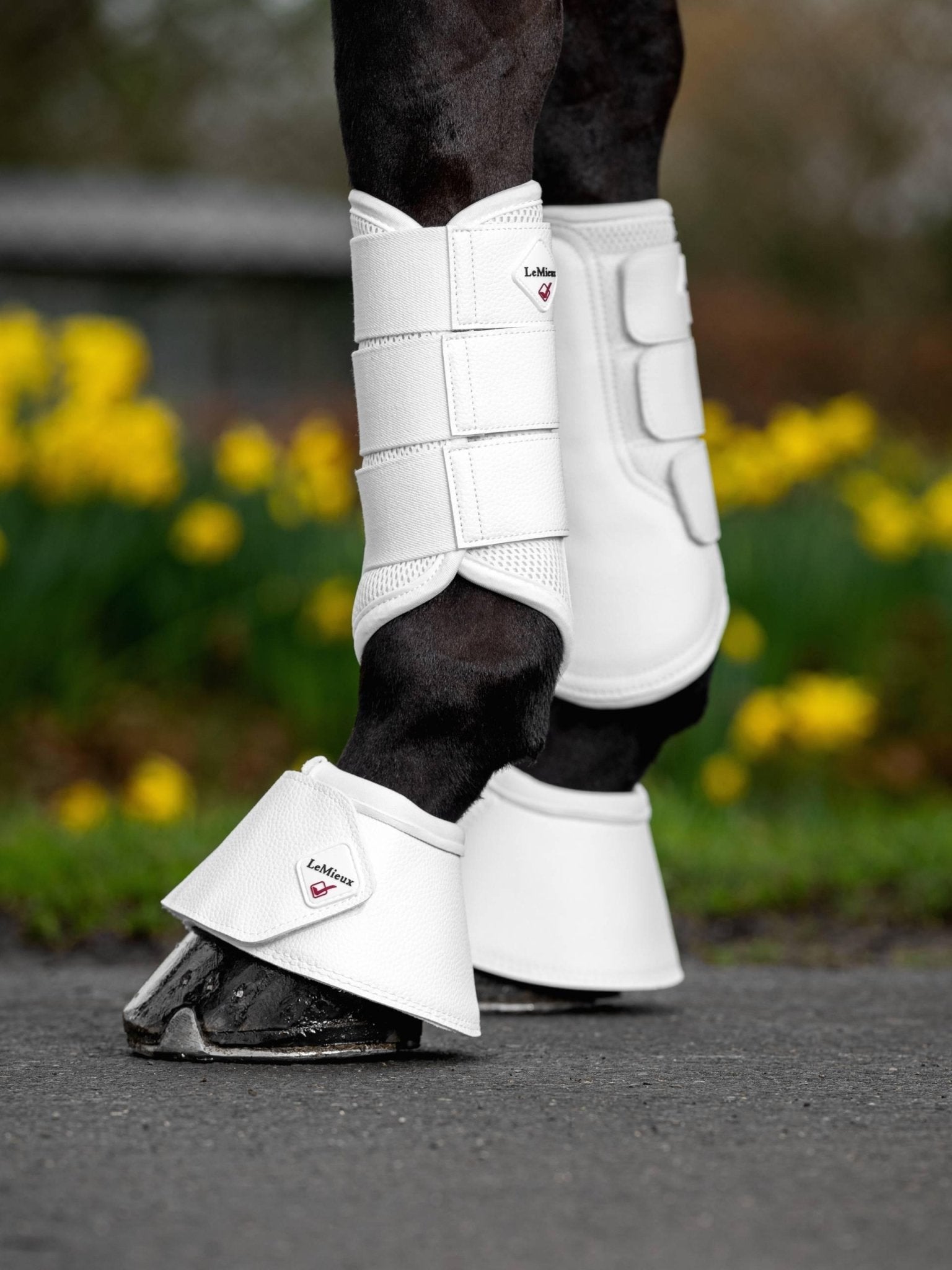 LeMieux WrapRound Leather Over Reach Boots - Nags Essentials