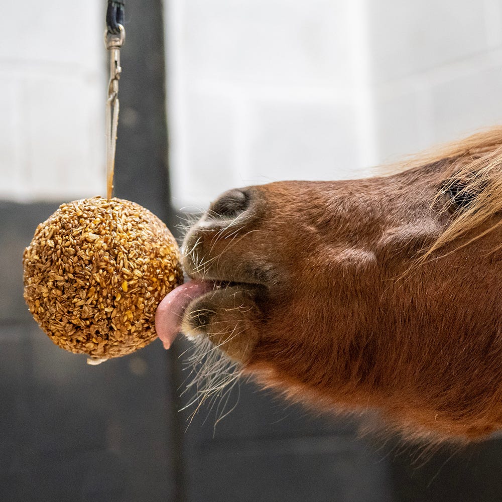 Likit Granola Stall Ball - Nags Essentials
