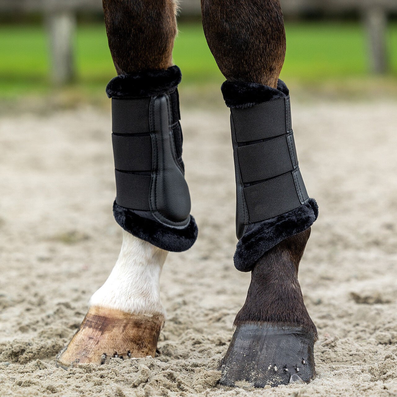 Livora Leg protection - Nags Essentials