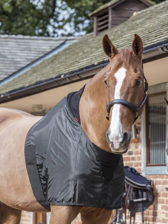 LeMieux Anti Rub Bib - Black