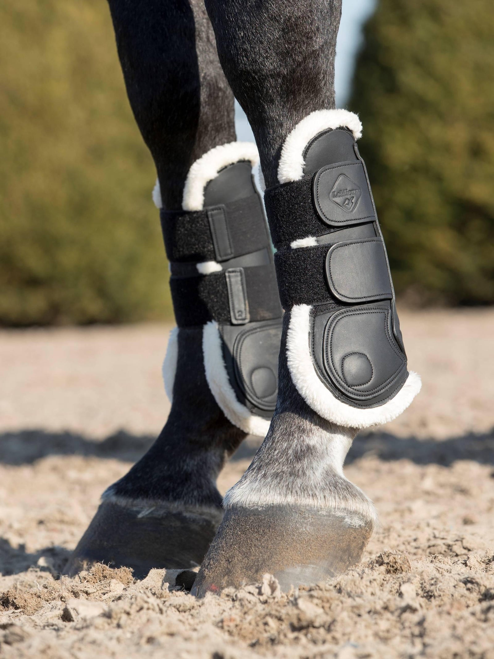 LeMieux Capella Comfort Tendon Boots
