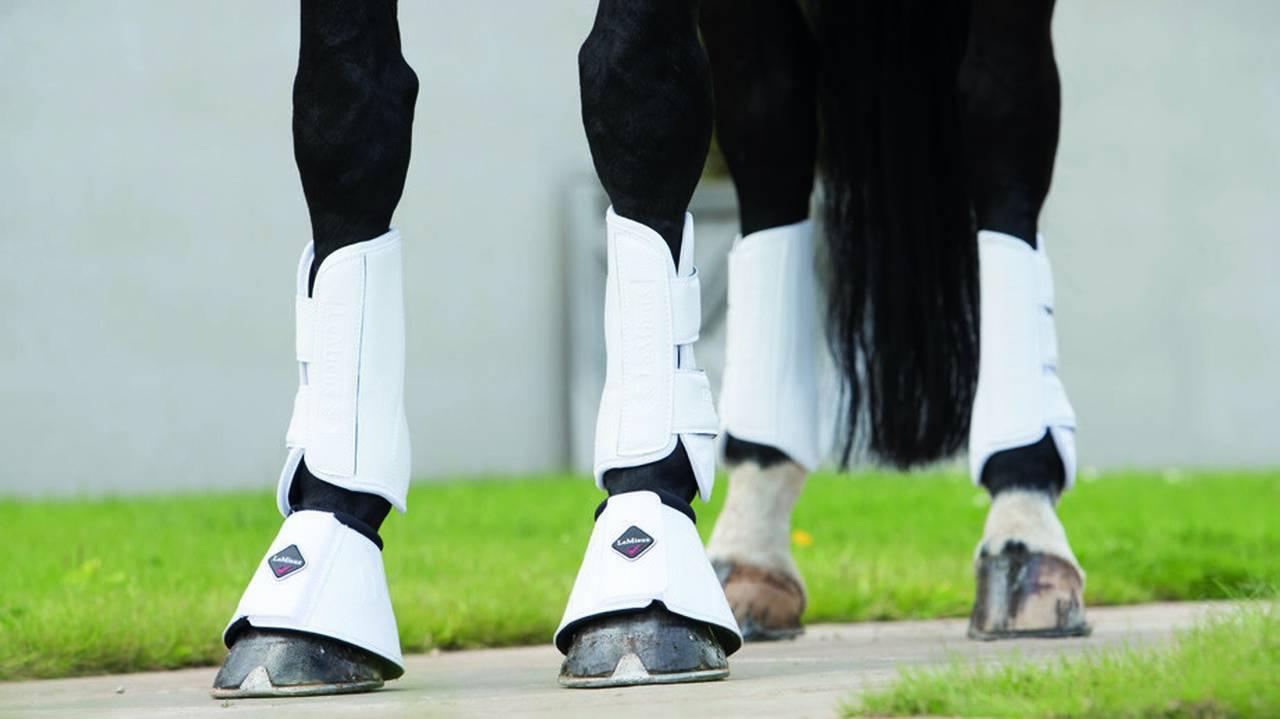 LeMieux Schooling Boots