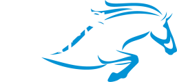 Nags Essentials