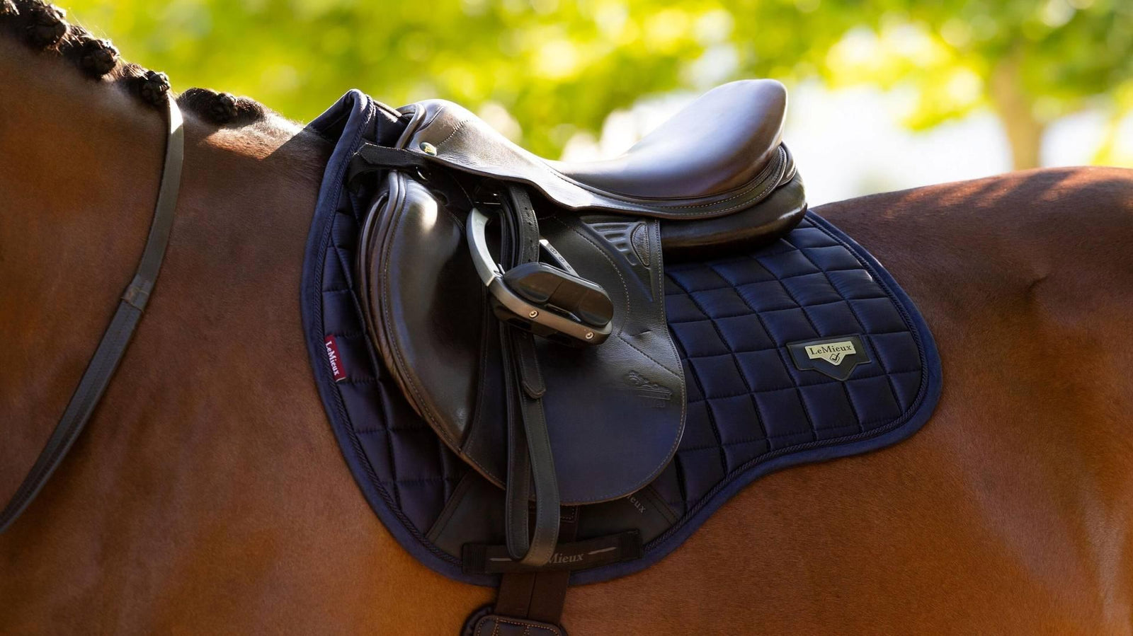 Loire Classic GP Square - Nags Essentials
