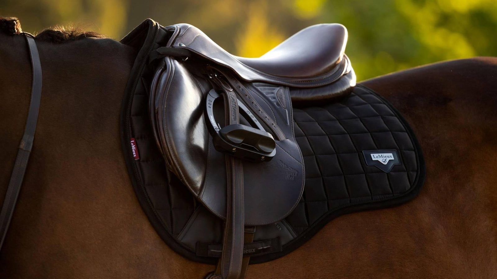 Loire Classic GP Square - Nags Essentials
