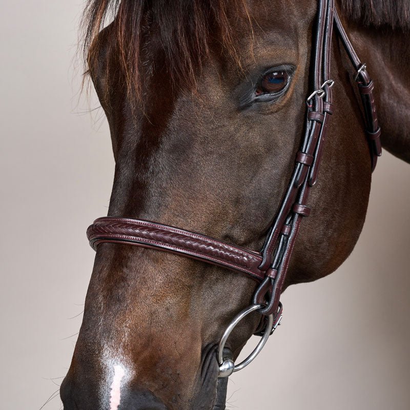 New English Plaited Noseband Bridle Without Flash - Nags Essentials