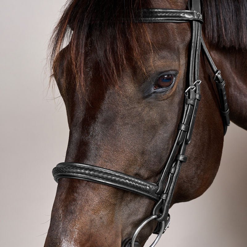 New English Plaited Noseband Bridle Without Flash - Nags Essentials