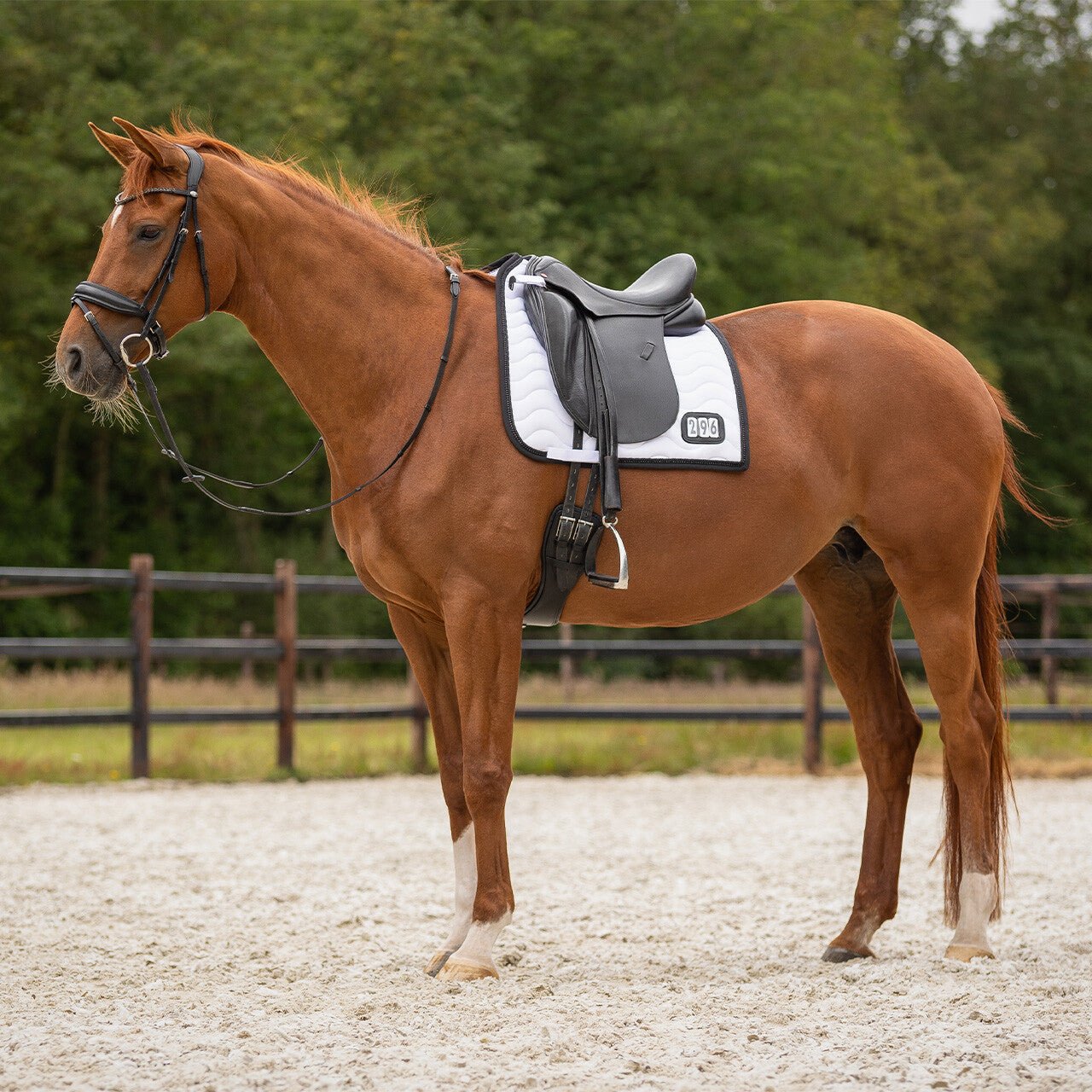 Number Saddlepad - Nags Essentials