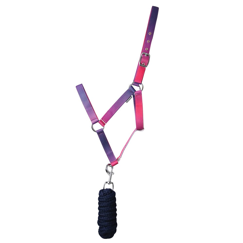 Ombre Head Collar & Lead Rope - Nags Essentials